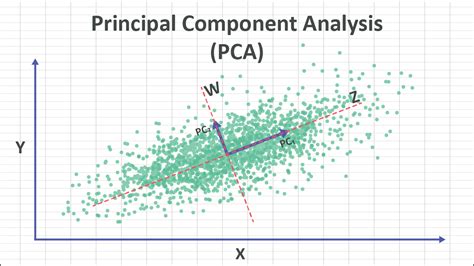 Principal Component Analysis (PCA) Explained .